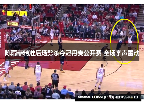 陈雨菲精准后场劈杀夺冠丹麦公开赛 全场掌声雷动 陈雨菲精准后场劈杀夺冠丹麦公开赛 全场掌声雷动